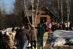 picture5