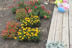 image-14-07-15-10-28-2