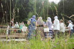 image-20-07-15-01-27-2