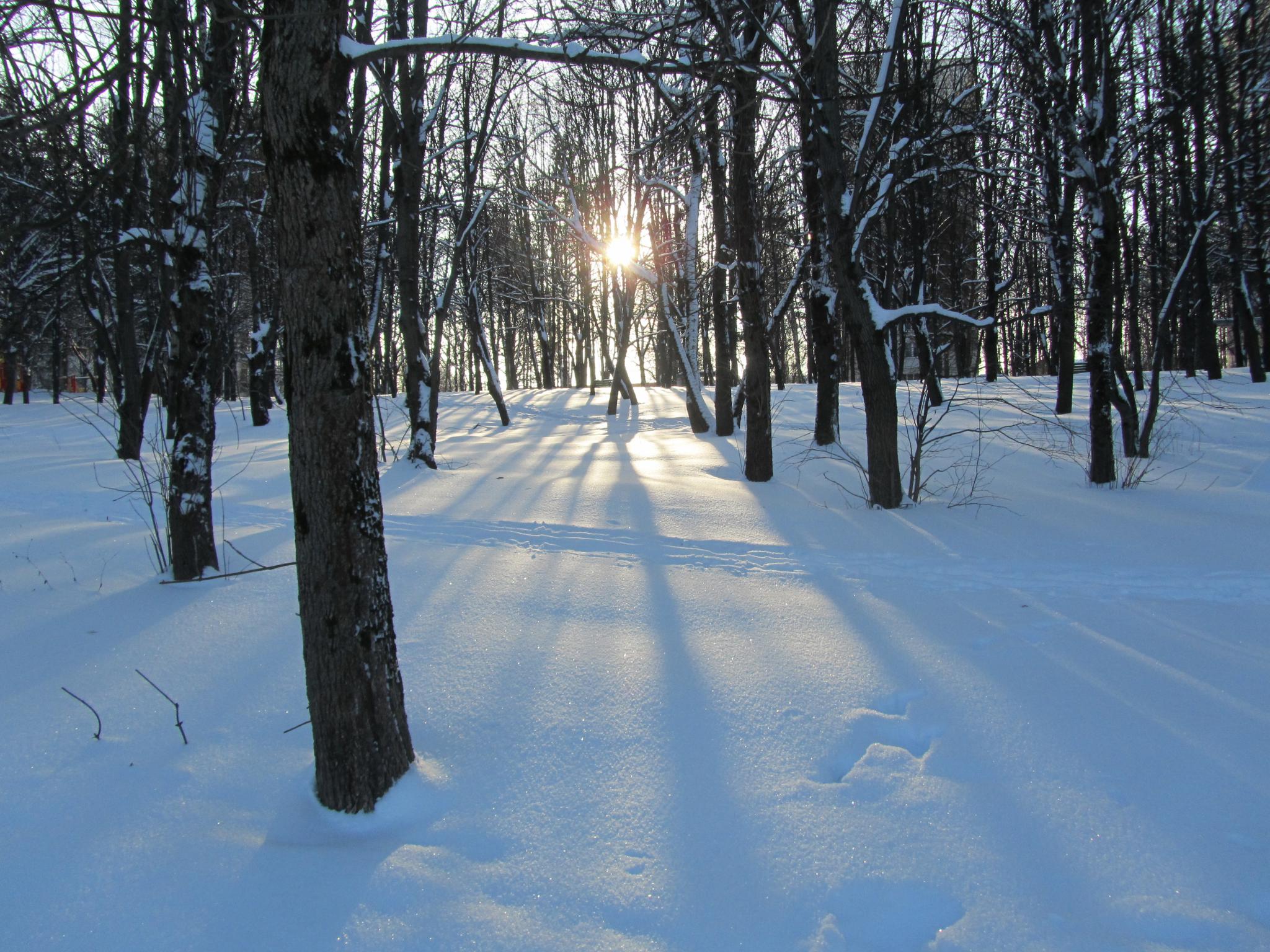 image-22-01-16-06-00-1