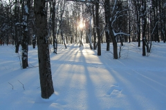 image-22-01-16-06-00-1