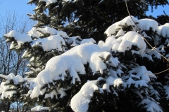 image-22-01-16-06-00-2