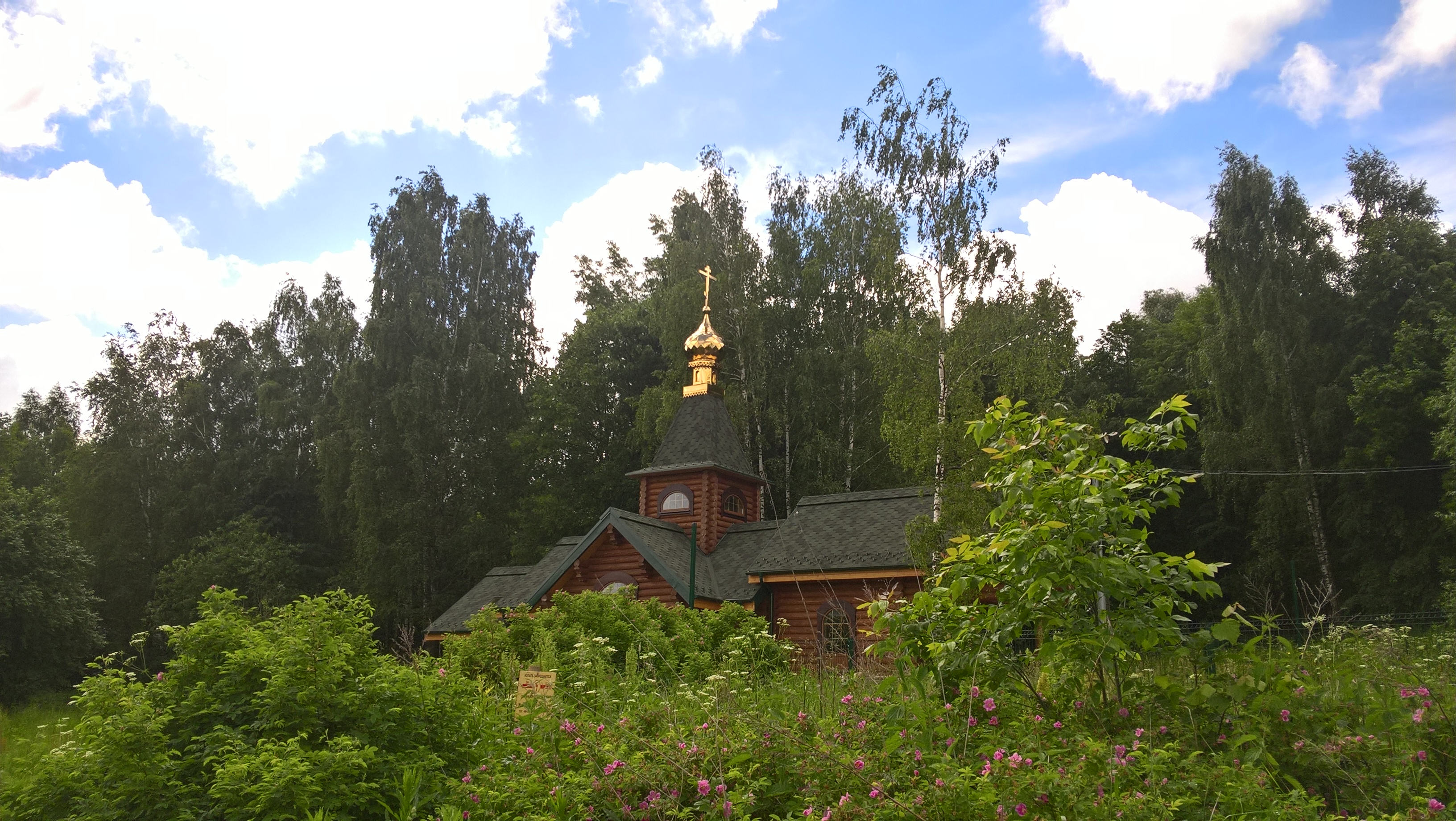 WP_20170623_10_06_14_Pro