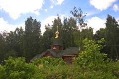 WP_20170623_10_06_14_Pro